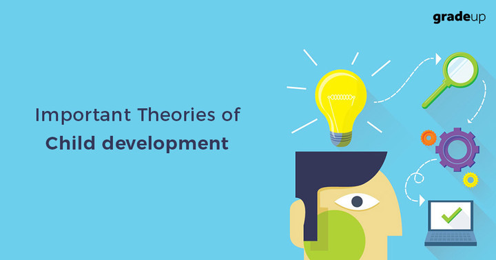 Important Theories Of Child Development For Ctet Exam - 