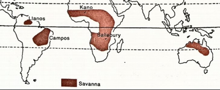 World Climate Types: Tropical Marine Climate; Savanna or Sudan climate