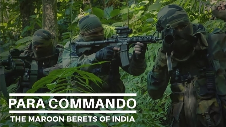 Know the Major Difference between PARA and PARA (SF)