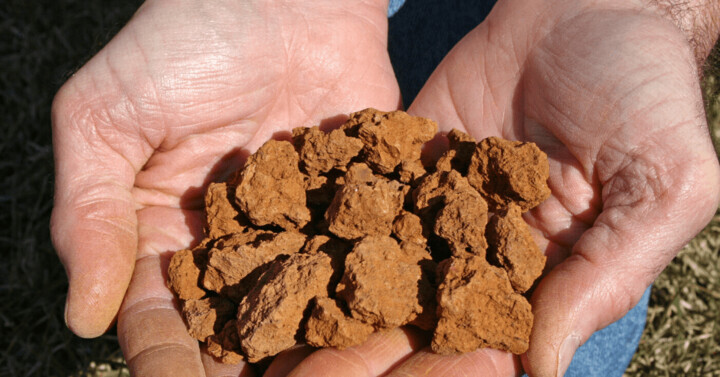 Types of Soils | Sandy, Clayey, Loamy & Silt