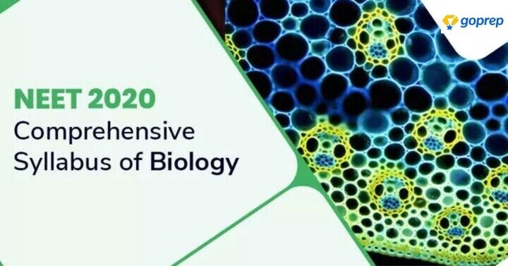 NEET Biology Syllabus 2020 (Chapter Wise)
