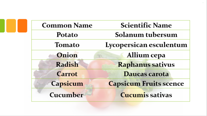 List of Scientific Names of Fruits, Vegetables & Plants