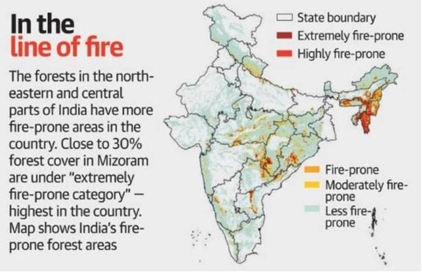 Forest Fires: Types, Causes and Effects, Preventive Measures