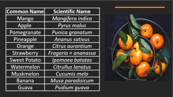 List of Scientific Names of Fruits, Vegetables & Plants