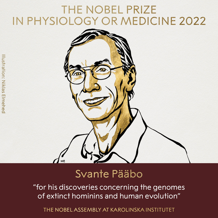 Nobel Prize Winners 2022: Physiology or Medicine, Physics, Chemistry, Economics, Peace, Literature
