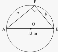 A Pole has to be erected at a point on the boundary of a circular park of diameter 13 metres in such a way that the difference of its distances from two diametrically opposite fixed gates A and B on the boundary is 7 metres