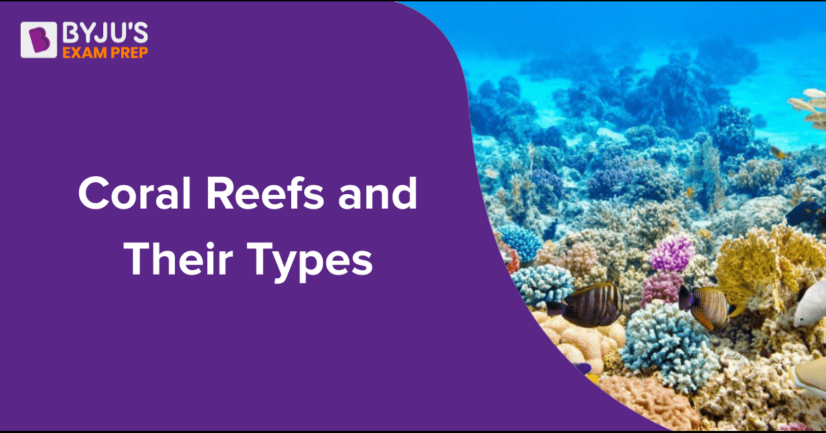 Coral Reefs UPSC: Definition, Types, Sites in India, Formation