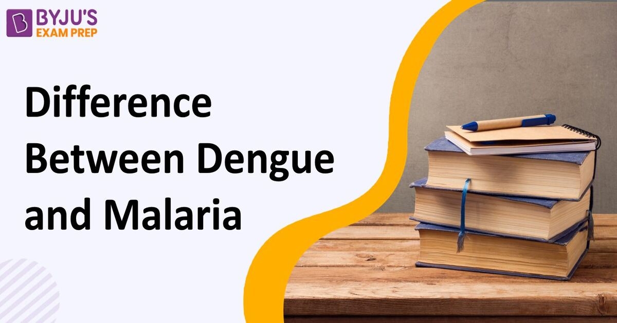 Difference Between Dengue And Malaria - Dengue Vs Malaria