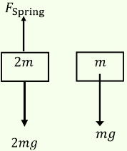 The system shown in the figure is in equilibrium at rest and the spring and string are massless. Now the string is cut. The acceleration of masses 2m and m just after the string is cut will be