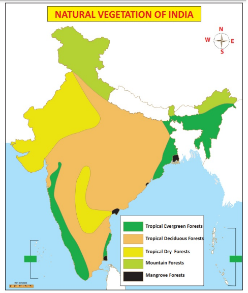 भारतातील वनांचे प्रकार, उष्णकटिबंधीय सदाहरित, पानझडी आणि काटेरी वने, खारफुटीची जंगले, PDF