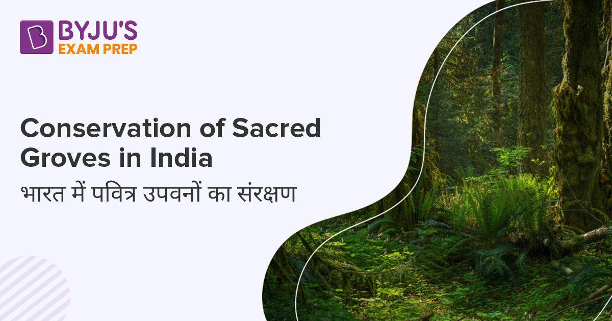Sacred Groves in India PDF Download Conservation Study Notes