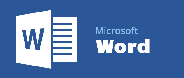 What is the example of MS Word?