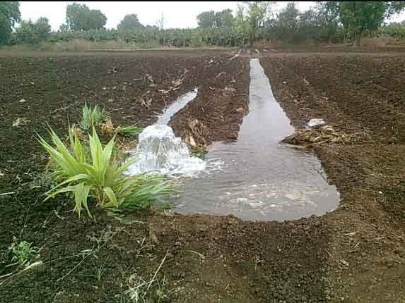 Irrigation: Must Know Concept for NABARD Grade A Exam 2023