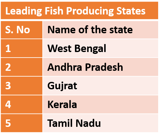 Fishery Sector: Must Know Concept for NABARD & Other Bank Regulatory Exams