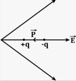A dipole is placed in an electric field as shown. In which direction will it move_1