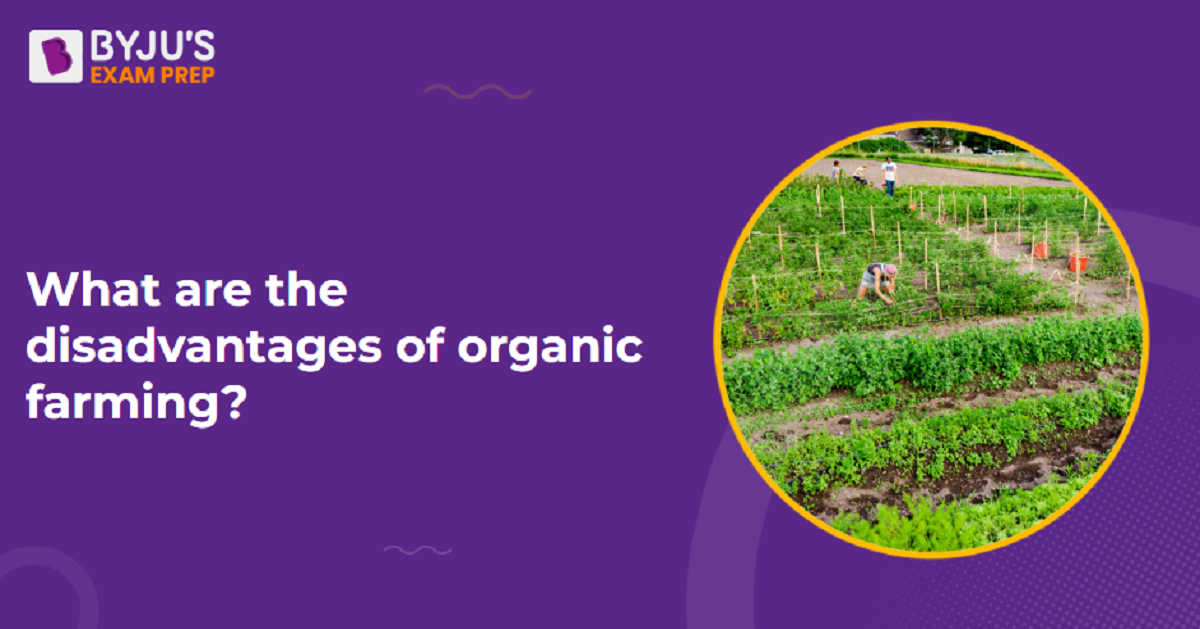 Organic Farming Negative Effects