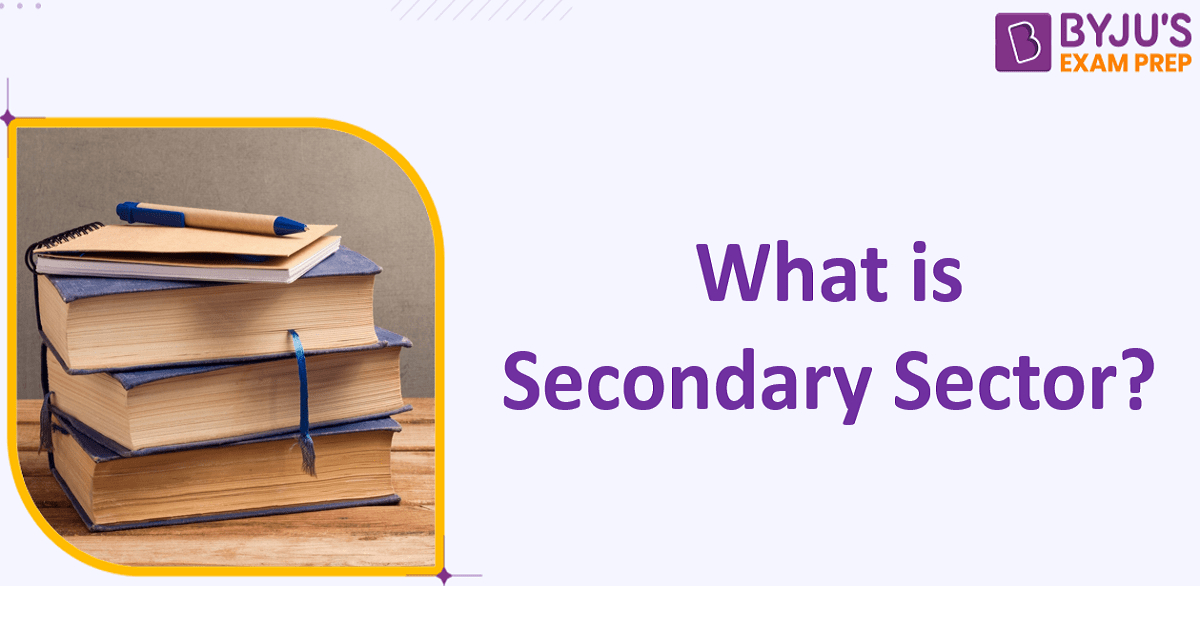 what-is-secondary-sector-check-definition