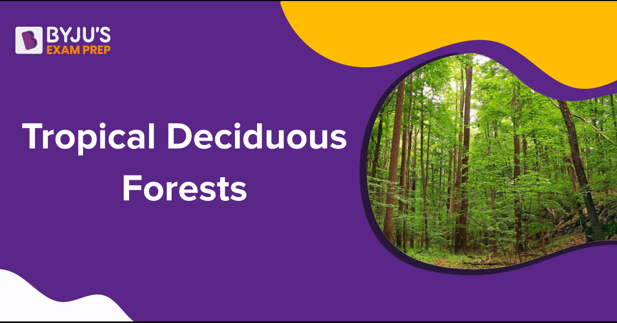 Tropical Deciduous Forests Characteristics Types In India 2083